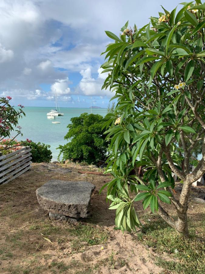 Luxury Beachfront With Private Pool - Jolly's Rock *