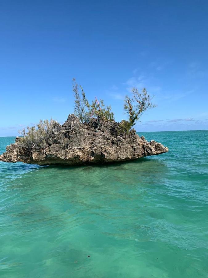 Au Bout Du Morne *