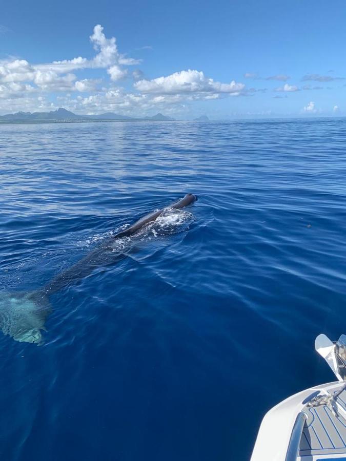 Au Bout Du Morne