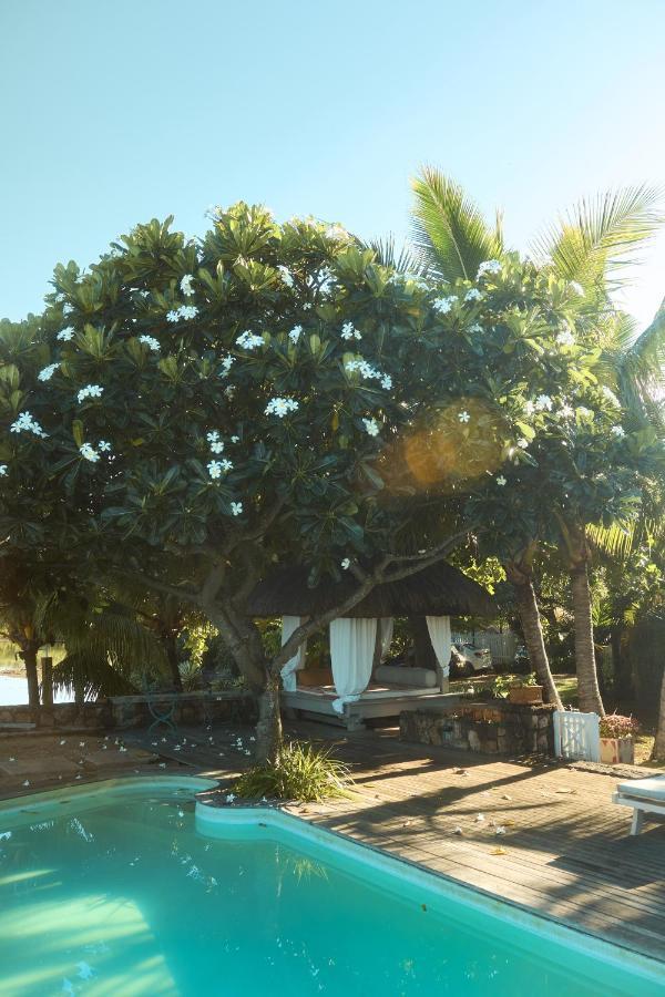 Harmonie Guest house Riviere Noire
