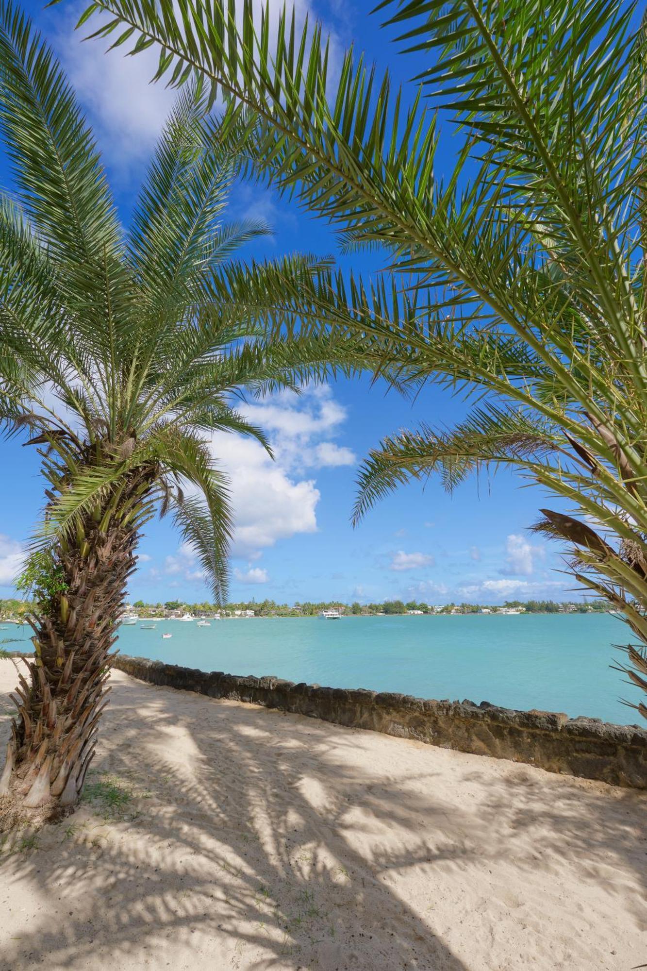 Lagoon View