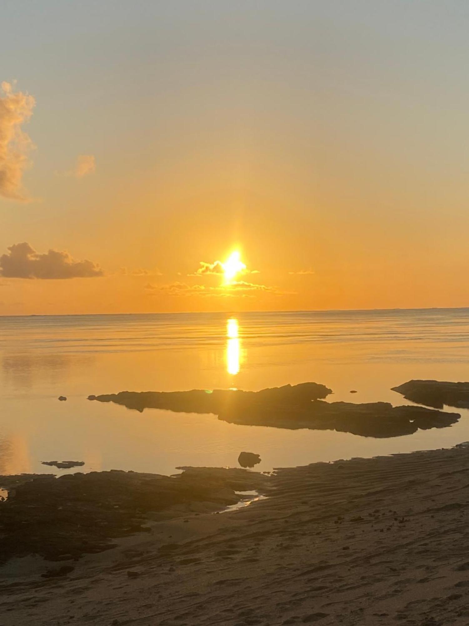 Vacation House South Of Mauritius - *