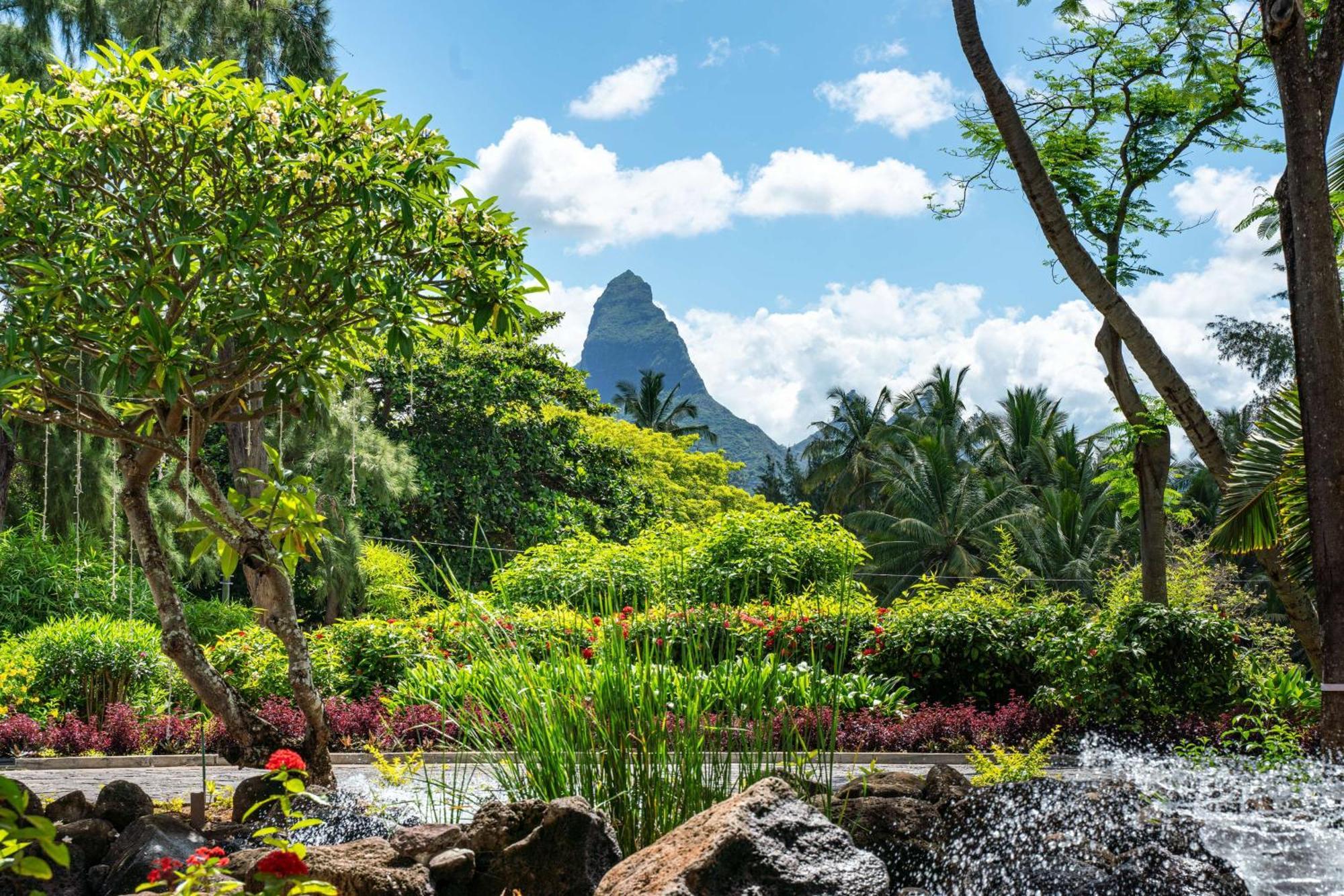 Hilton Mauritius & 5*