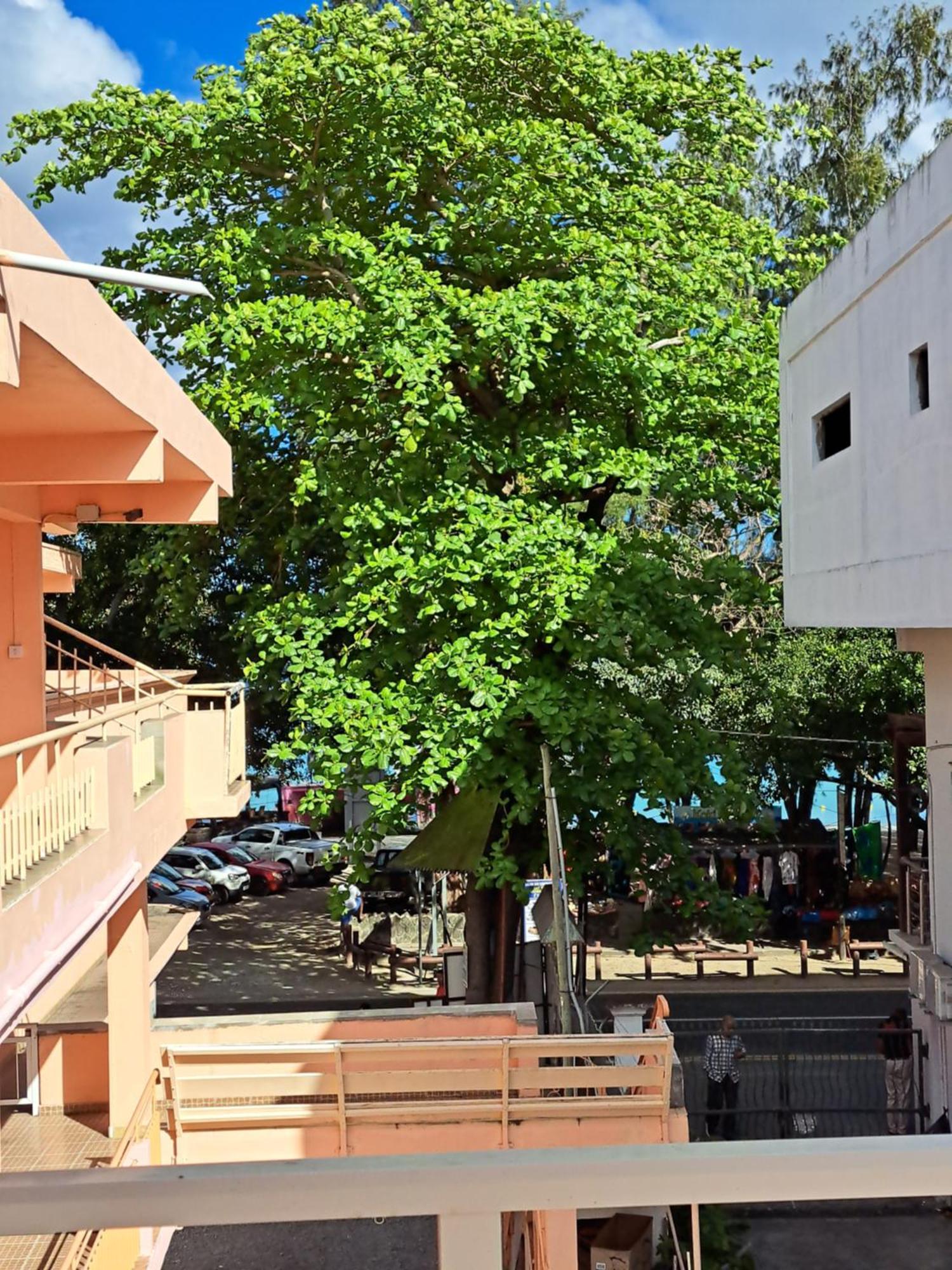 Apartment Bano - *