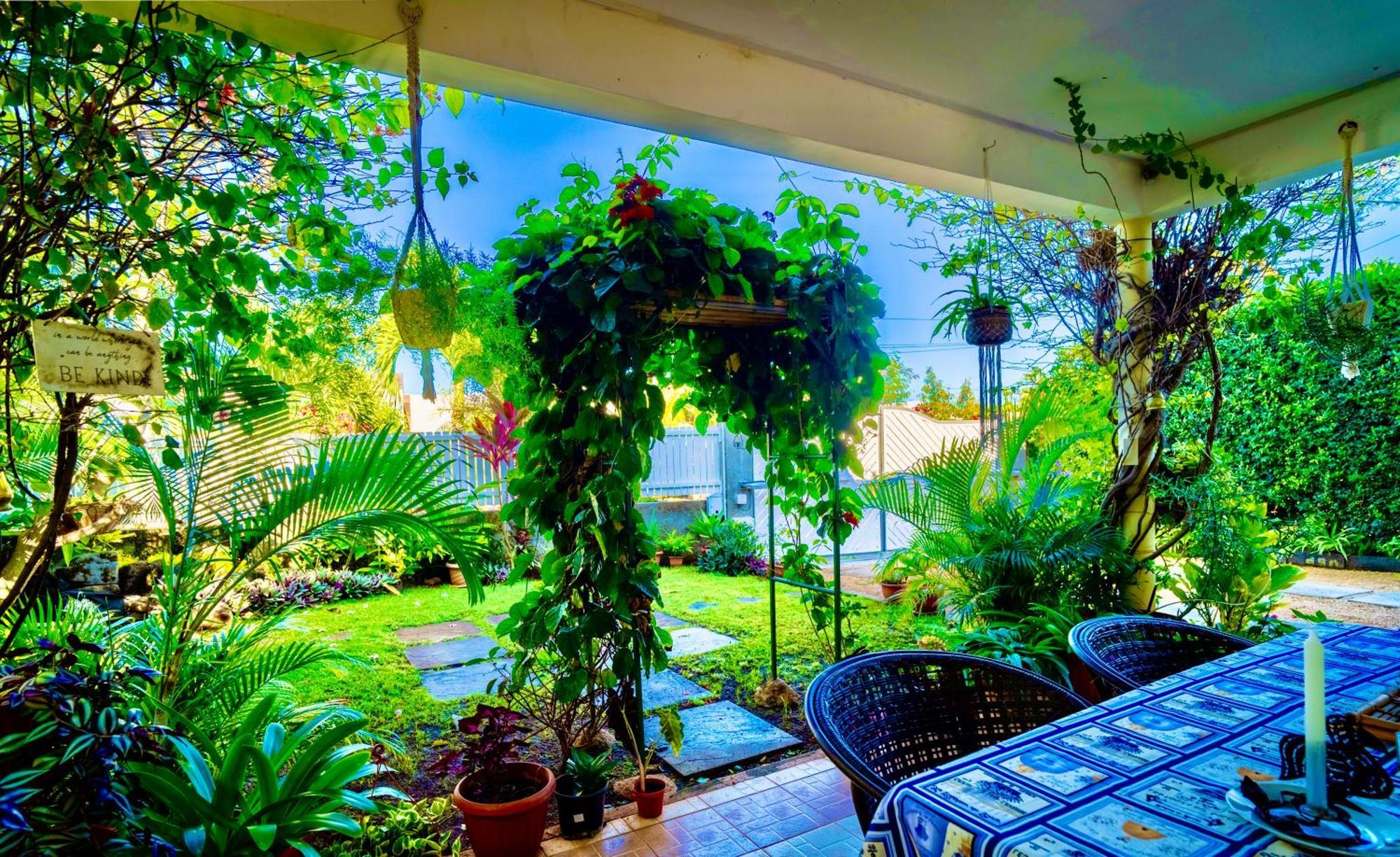 Cozy Holiday home Riviere Noire