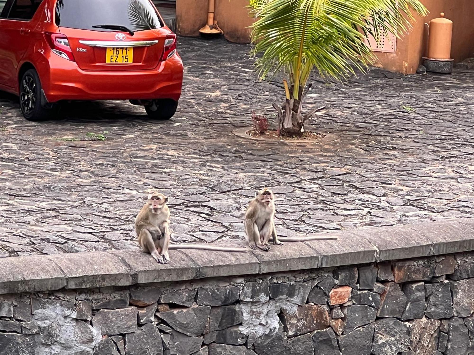 In Port Chambly ,mauritius *