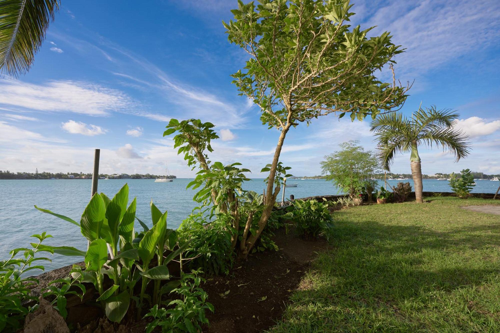 Lagoon View