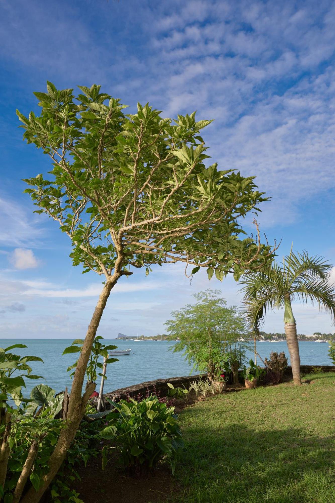 Apartment Lagoon View Grand Baie