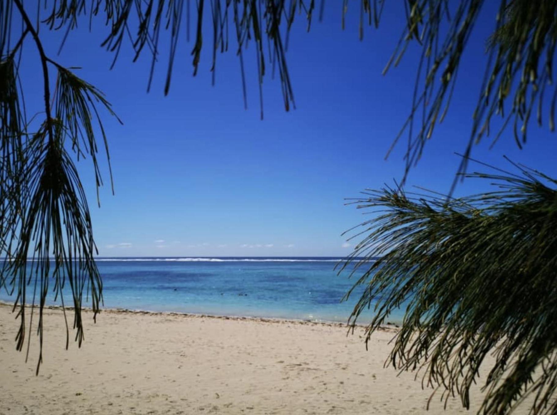 No2 - Sun Tan Palmar Belle Mare
