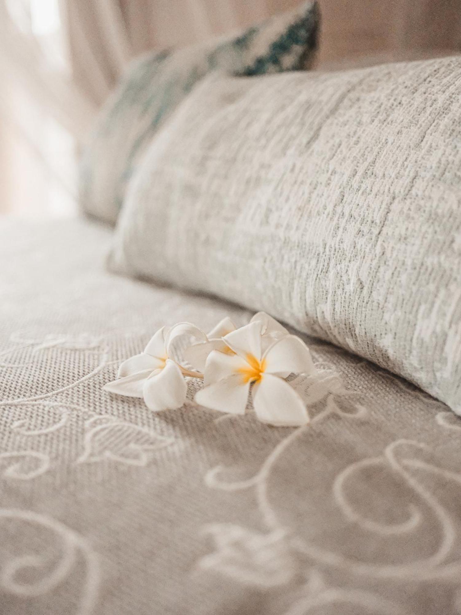 Guest house Harmonie