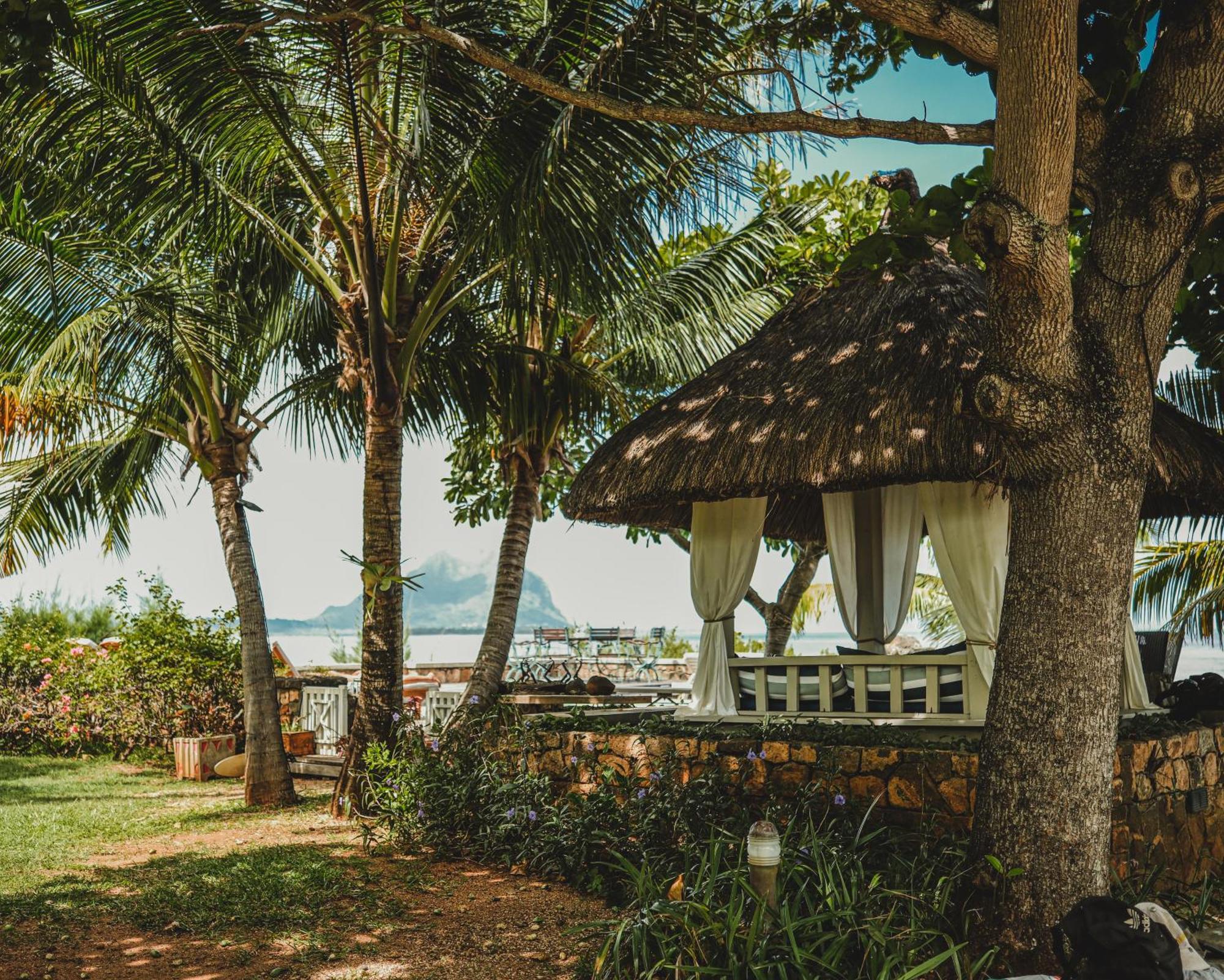 Guest house Harmonie Riviere Noire