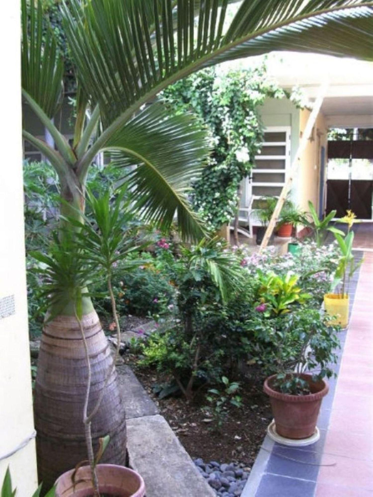 Le Saladier Guest house 3*