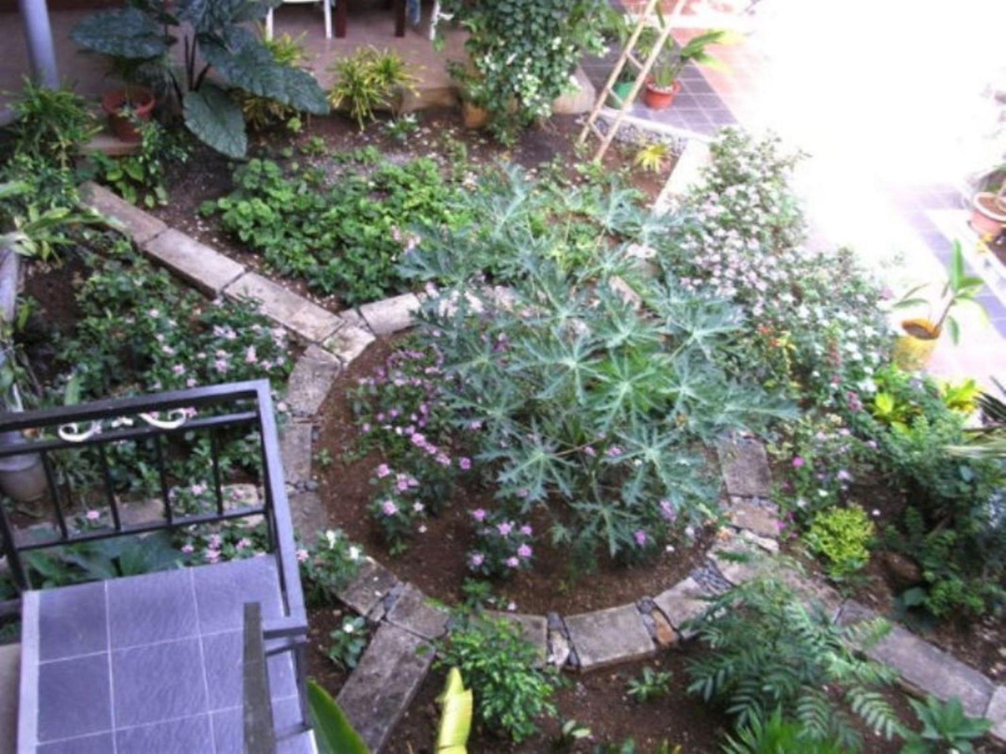 Le Saladier Guest house Mahebourg