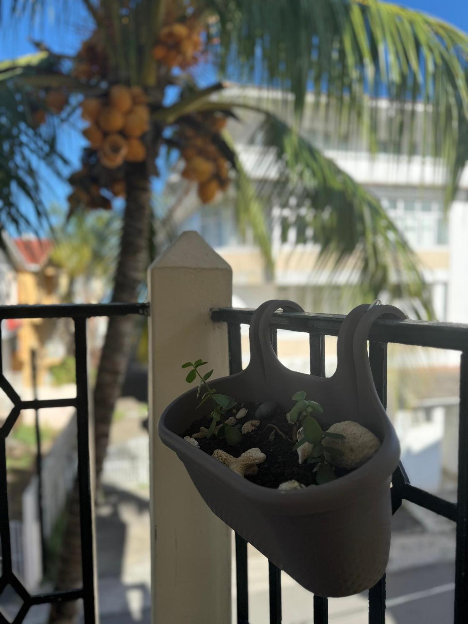 Apartment 2 Pokojovy Ve Mauricius Flic en Flac