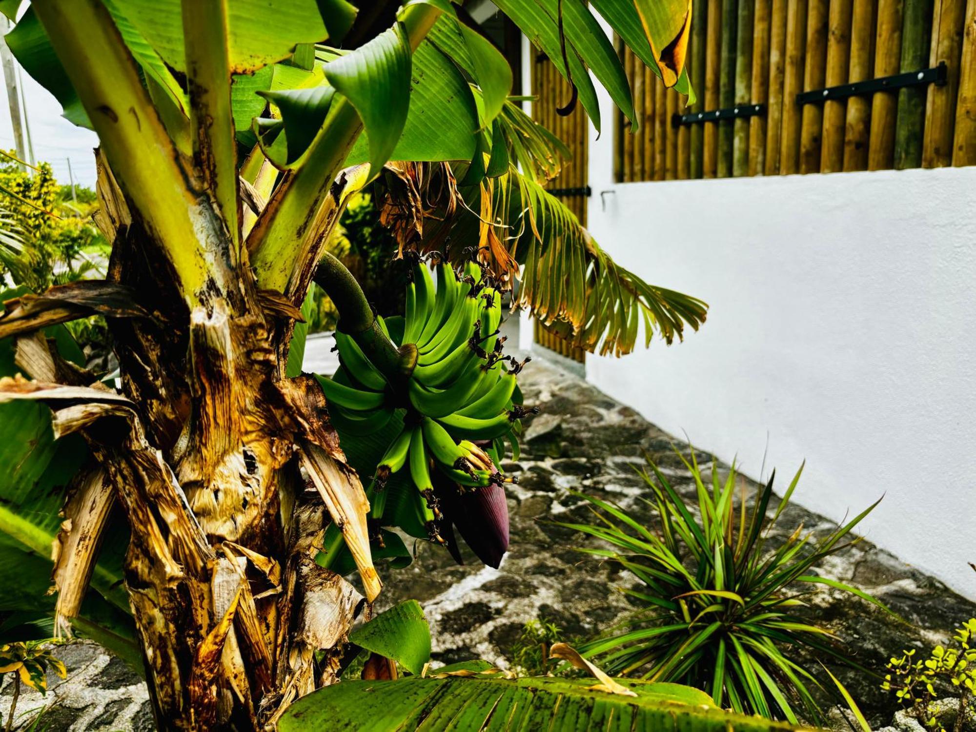 Apartment Ti Kaseou 1
