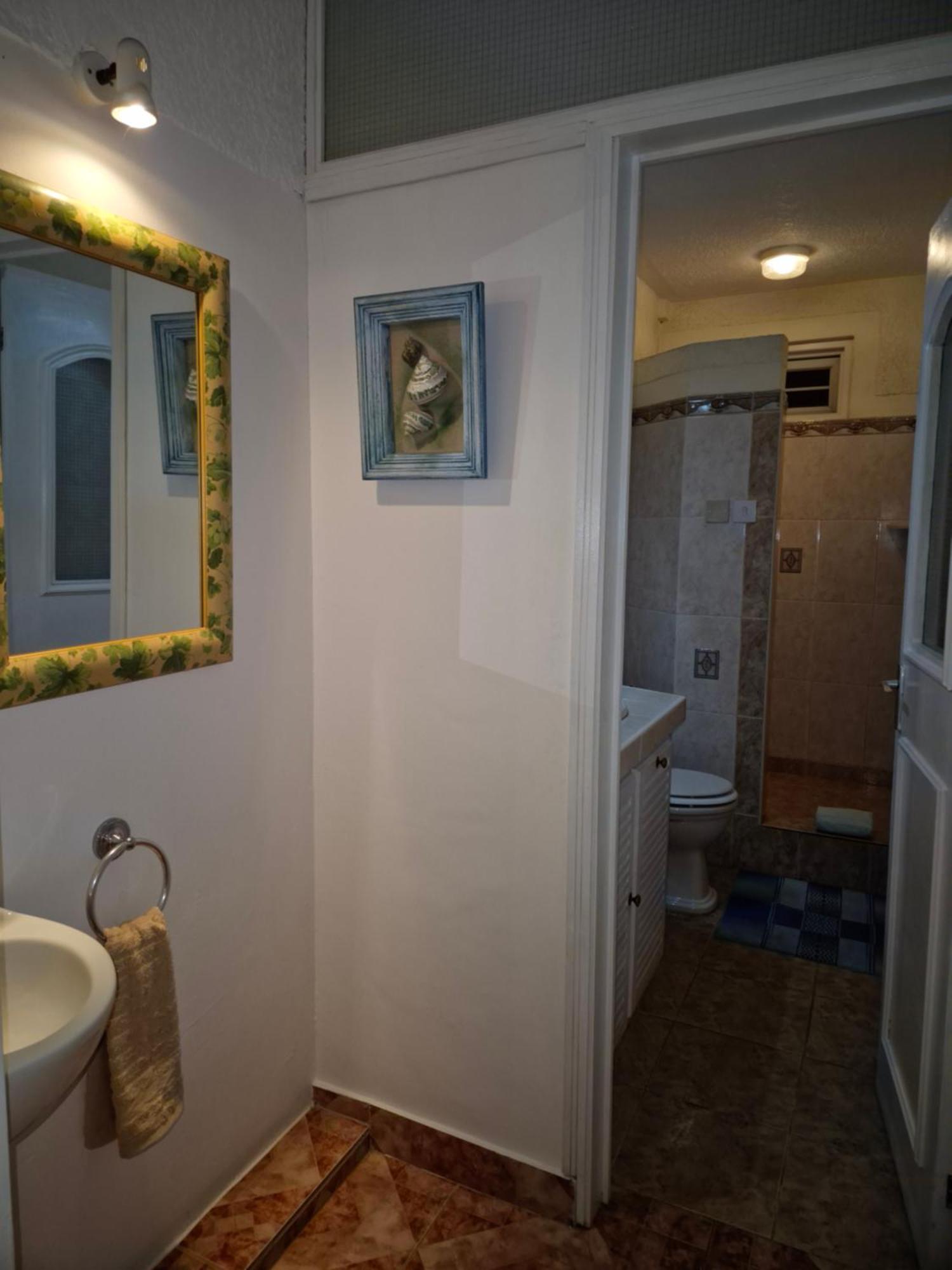 Apartment Seashell Haven