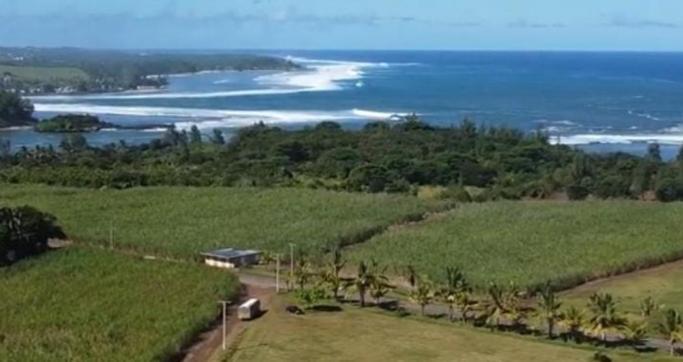 Apartment Ocean View At Mauritius