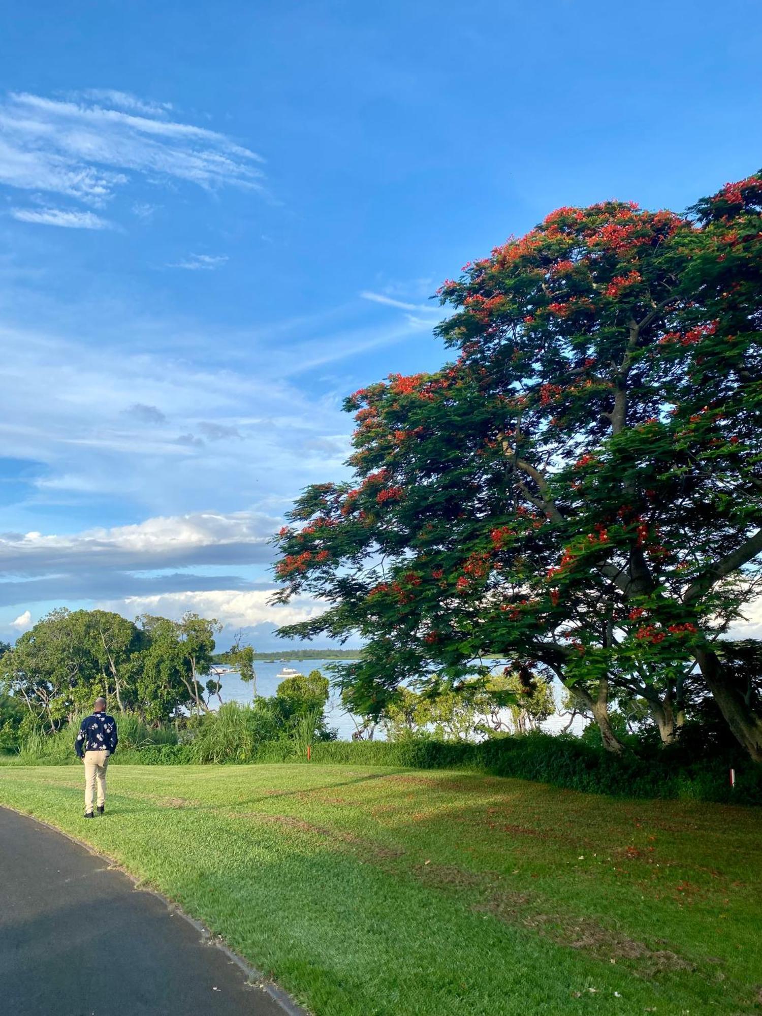 Villa Anahita Amalthea