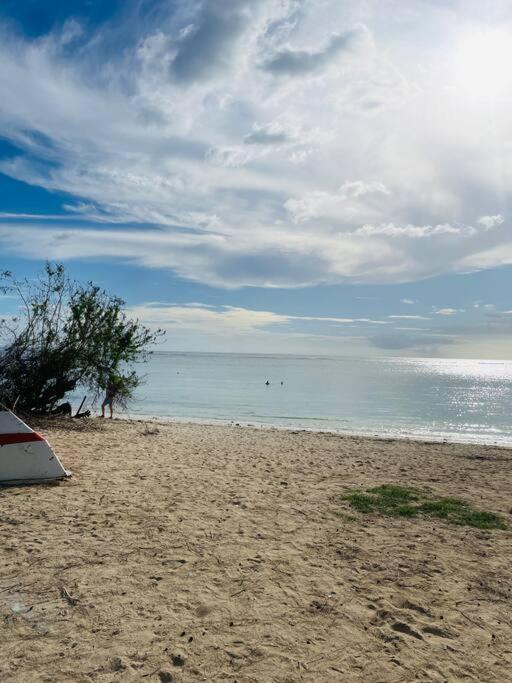 Apartment Luxurious 3-bedroom With Sea Views - Sd10 *