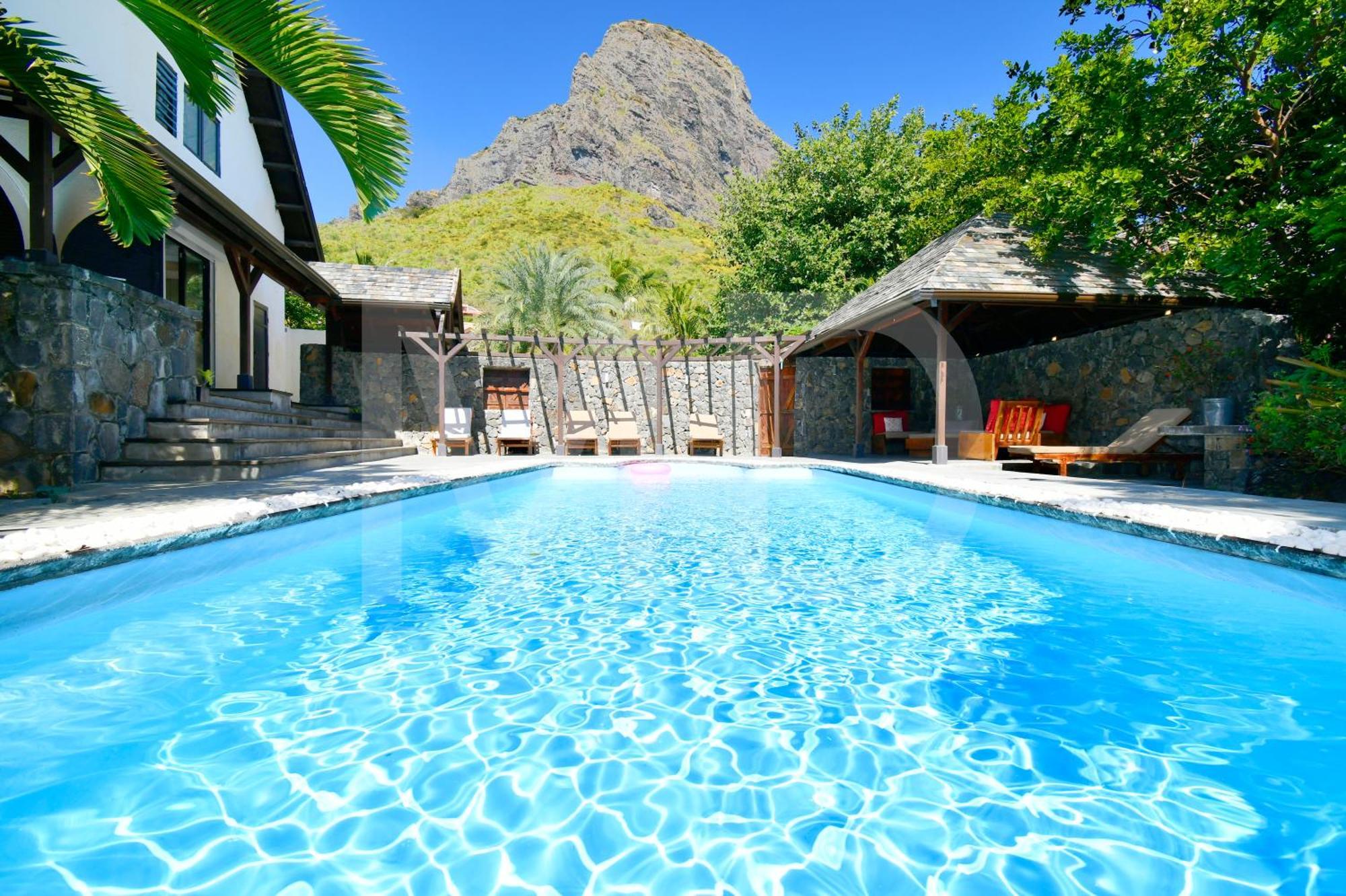 Ayapana Le Morne