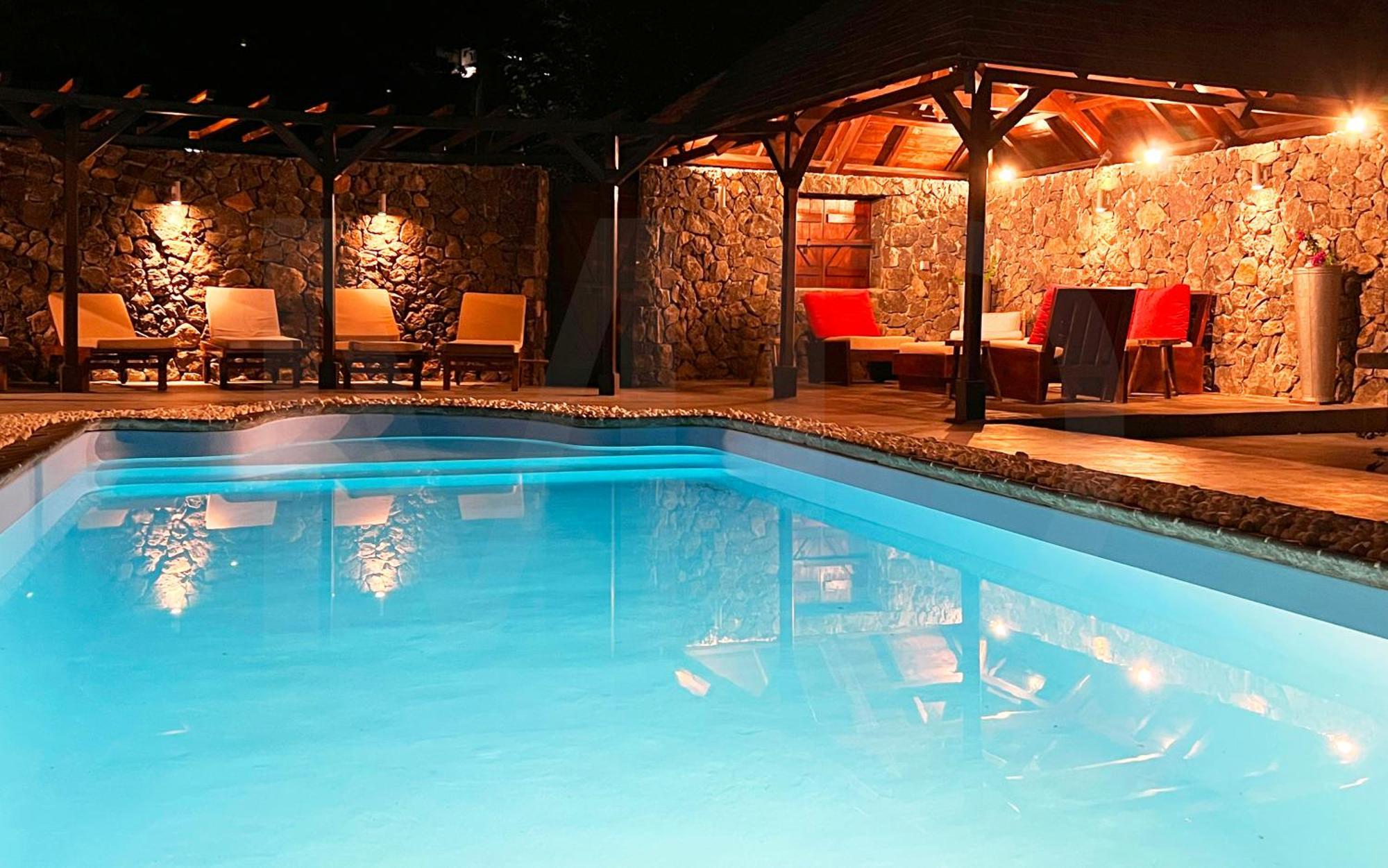 Ayapana * Le Morne