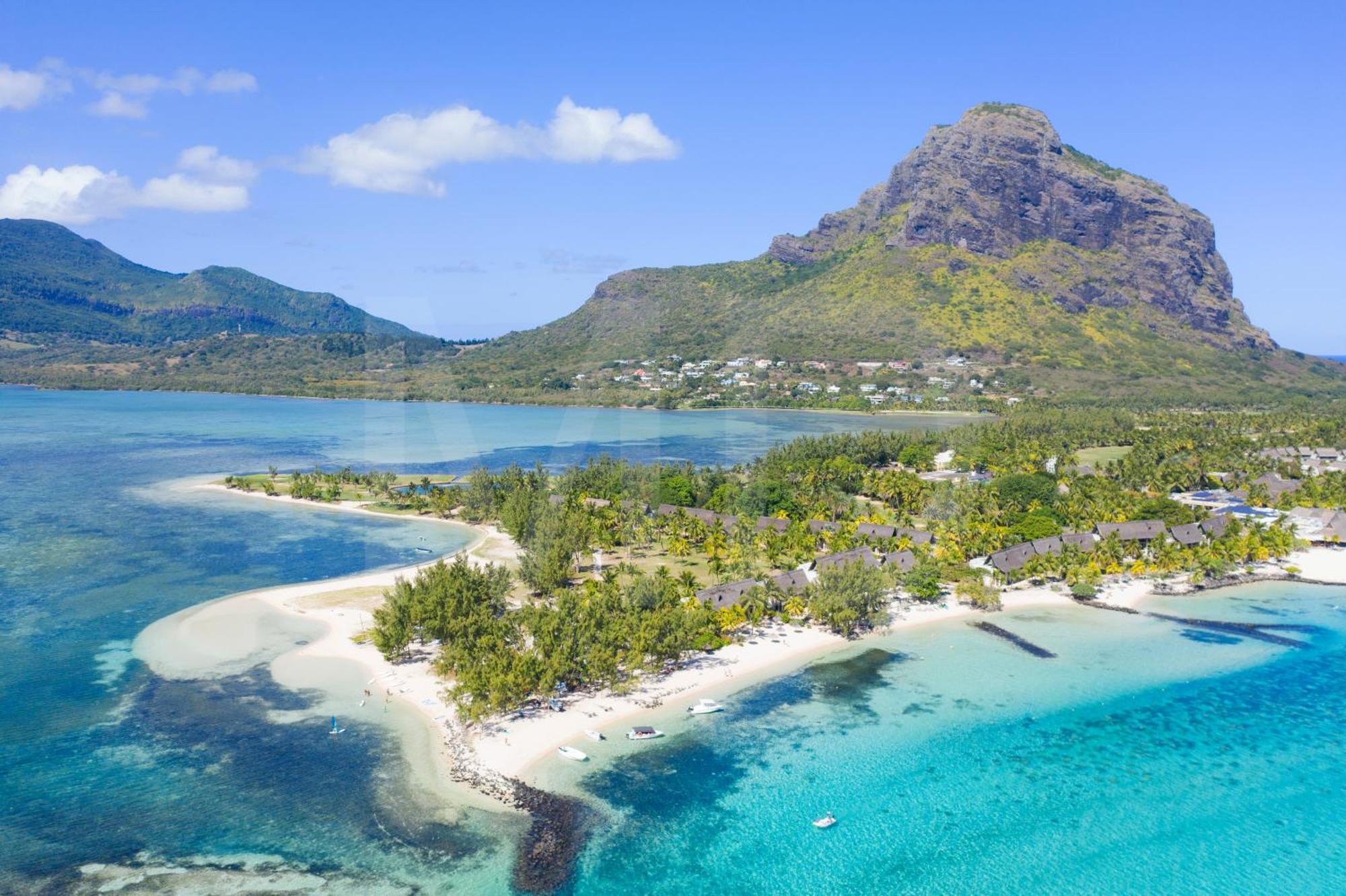 Ayapana Le Morne