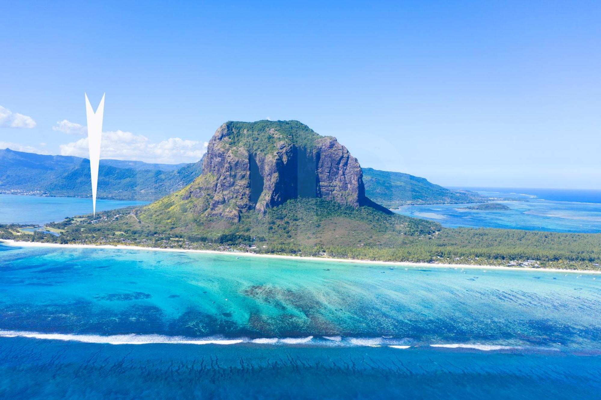 Ayapana * Le Morne