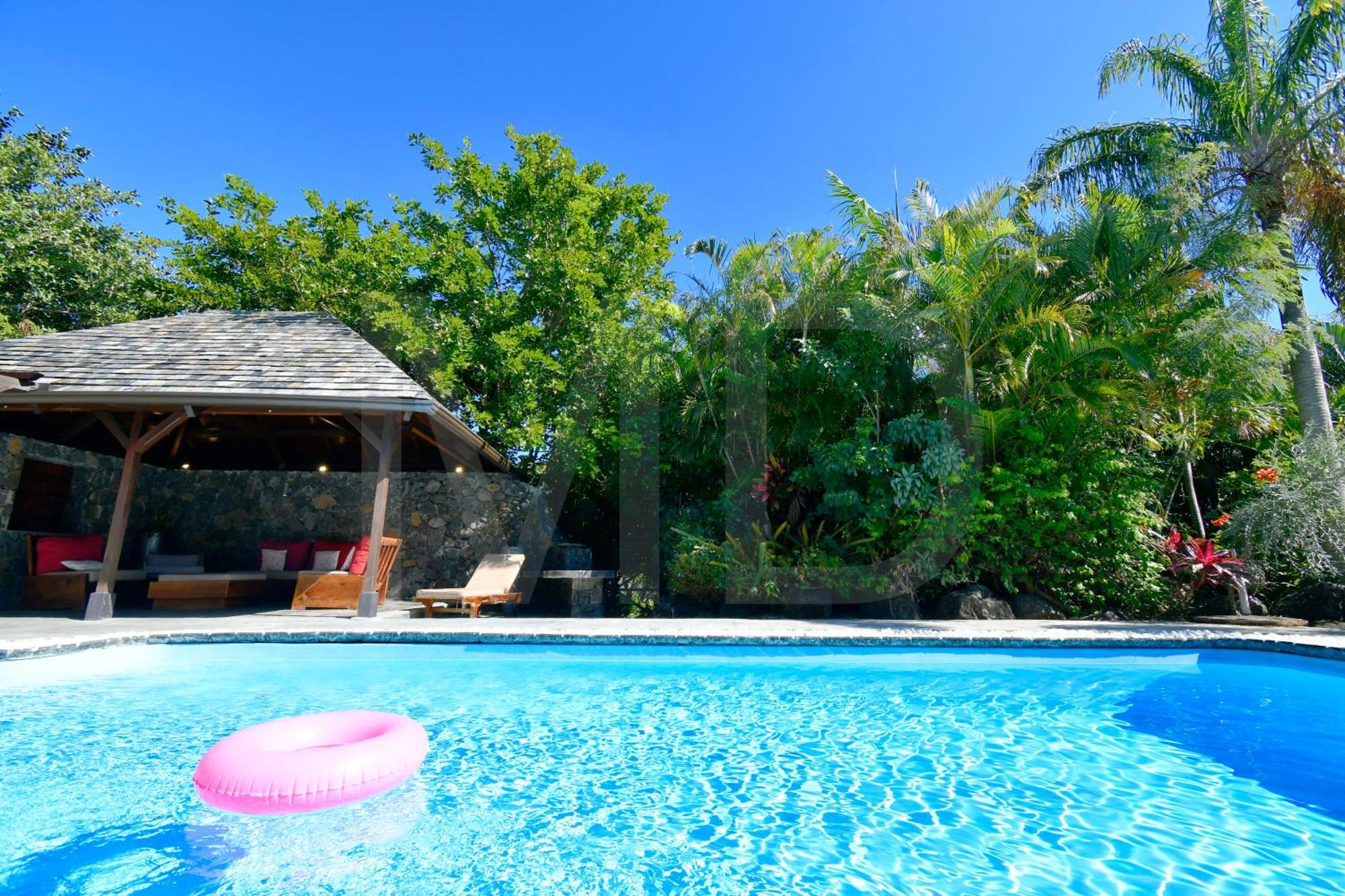 Ayapana Villa