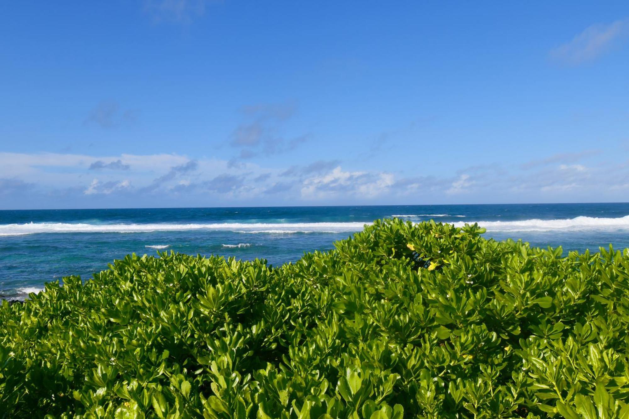Villa White&blue Beachfront Luxury *