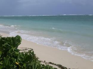 Villasun Seafront Apart At Capouest Apartment *