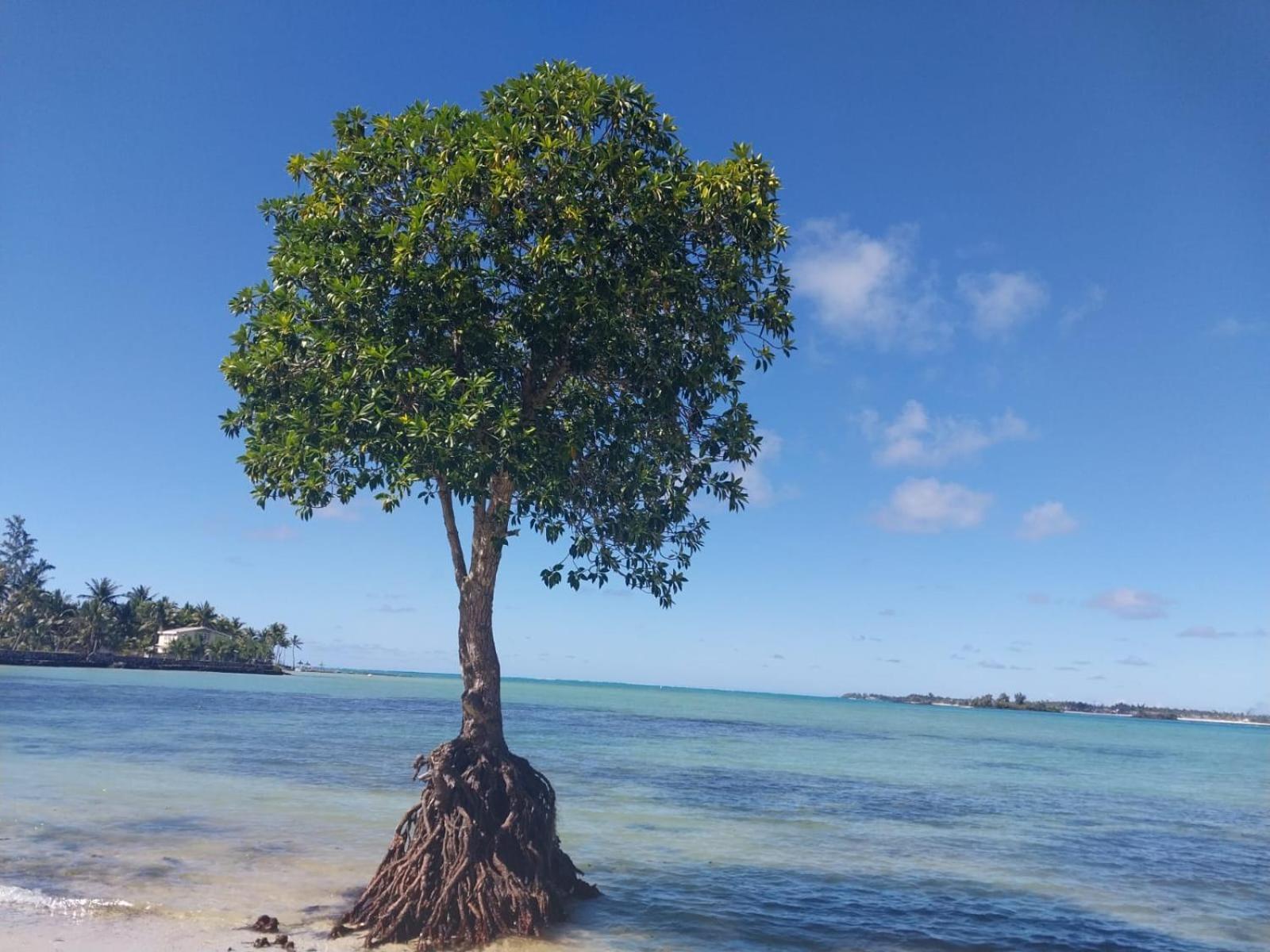 Sunshine Mauritius * Poste Lafayette