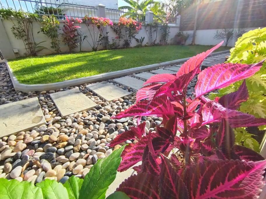 Hive Villa Blue Bay