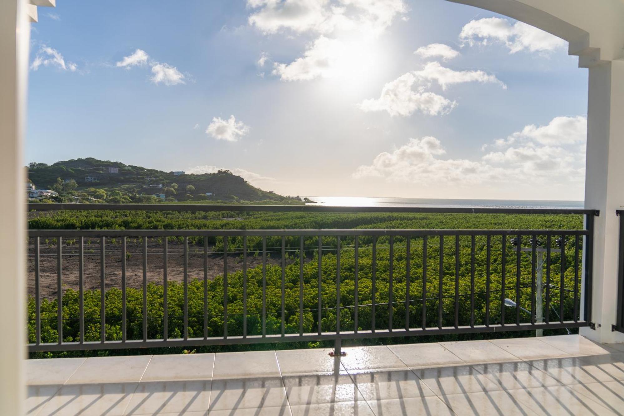 Les Manglier Port Mathurin