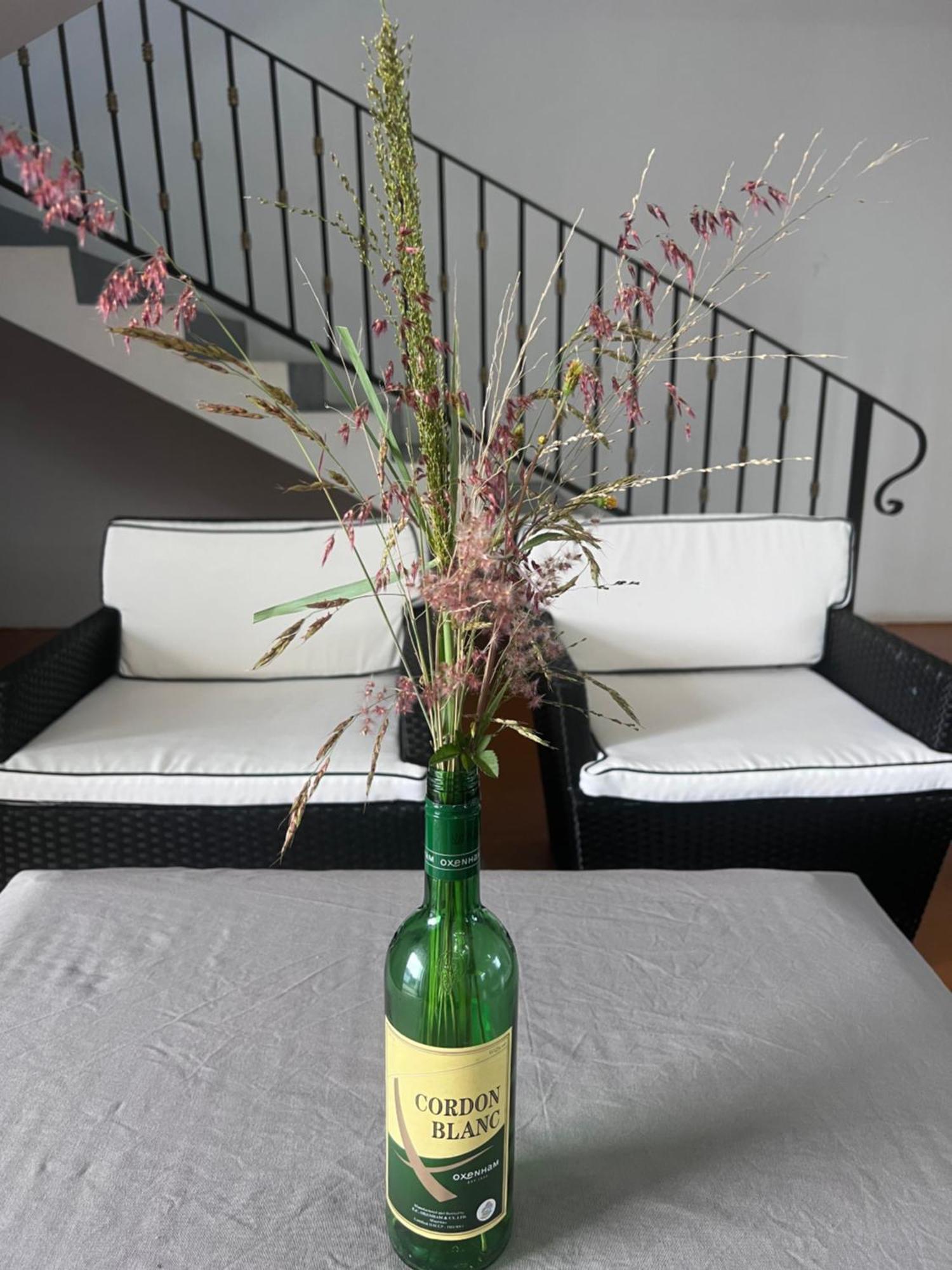 Homestay Teisha House Souillac