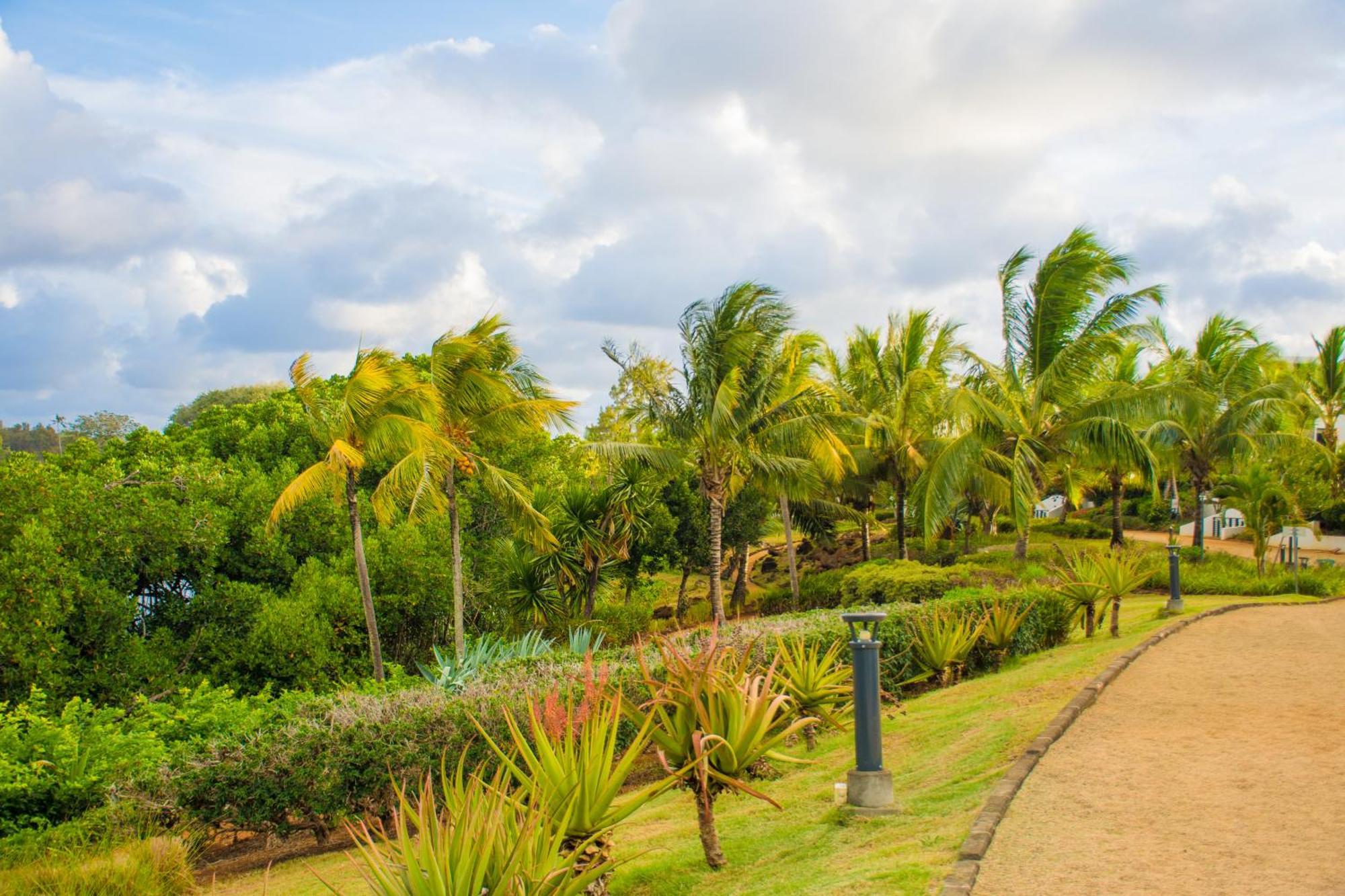 Azuri Apartment With Beach, Pools, Gym, Golf, Shops, Restaurants, Spa, Boat Activities, Tennis &Paddle Court, Kids Corner Apartment