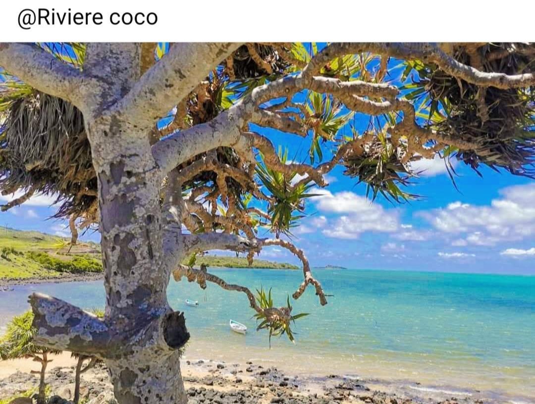 Casa de hóspedes Le Pecheur Du Sud