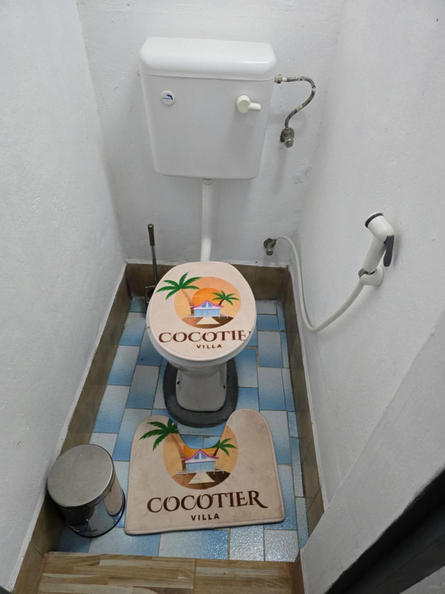 Ii Cocotier *
