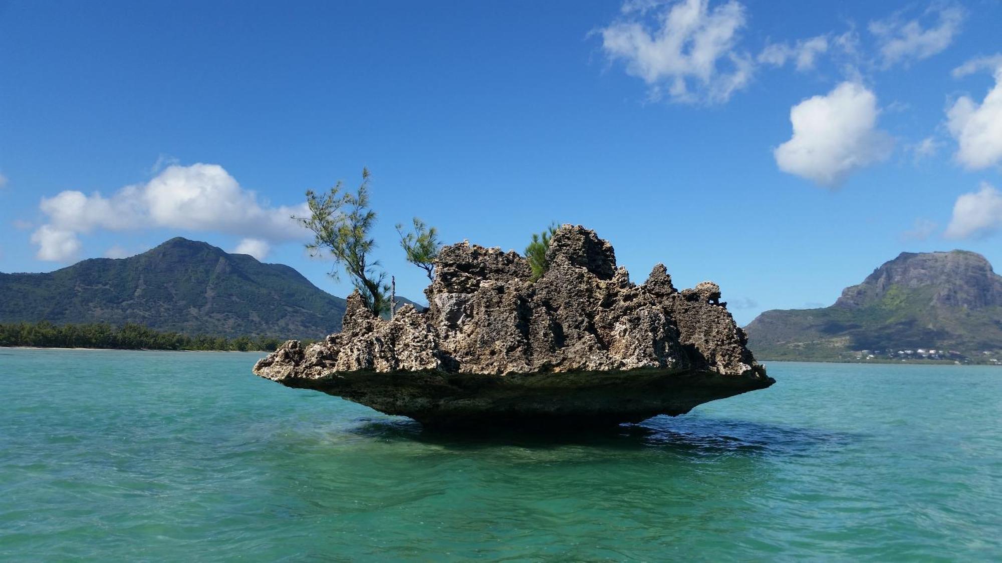 21-abiki Mauritius Albion