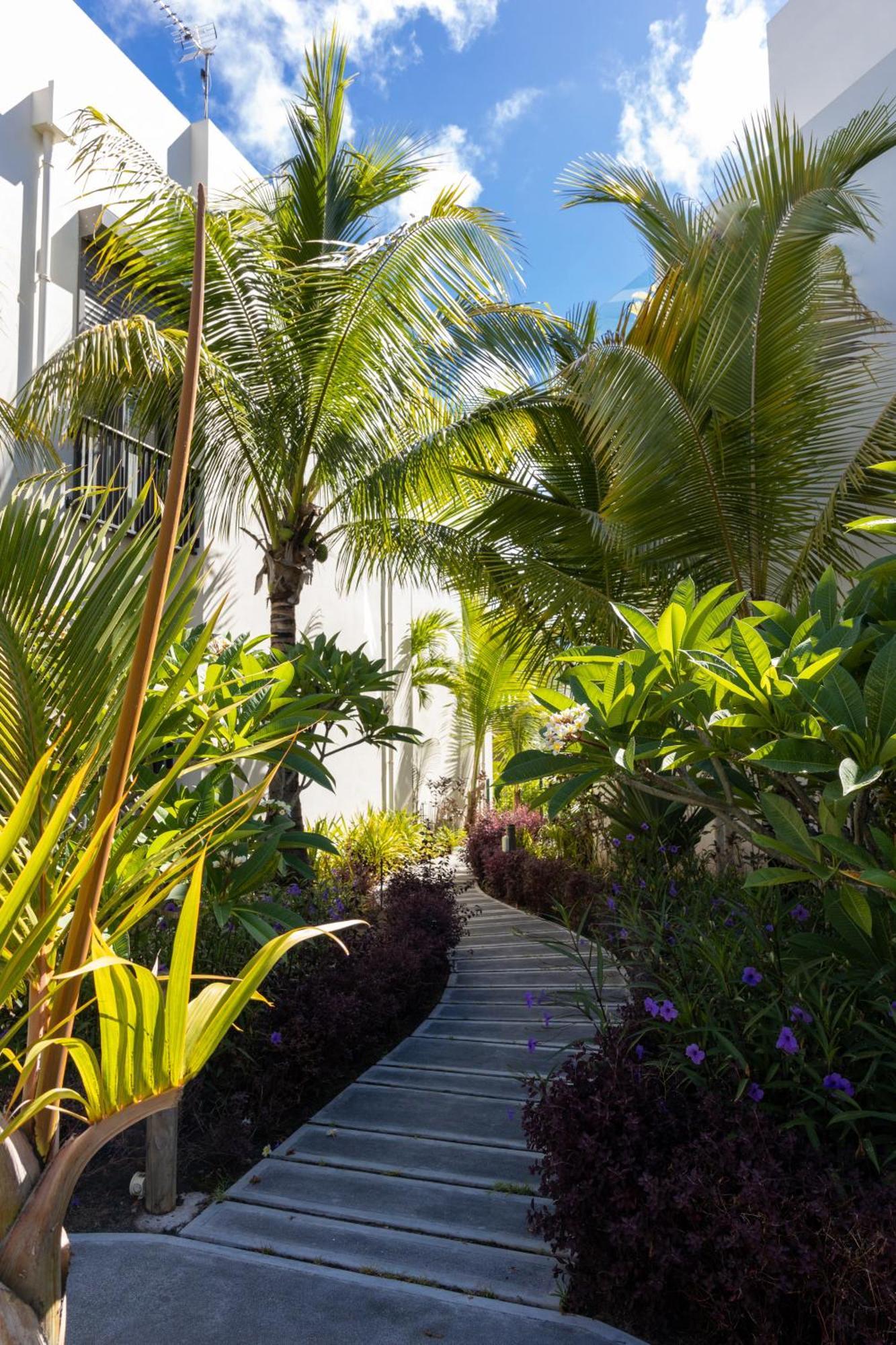 Tropical Beachfront Apartment Belle Mare