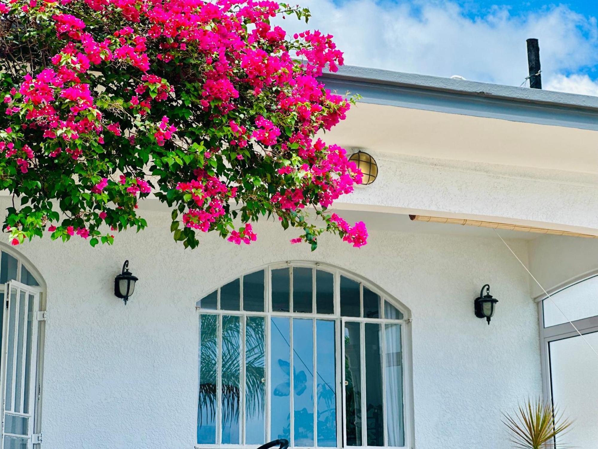 Lavender Guest house Le Morne
