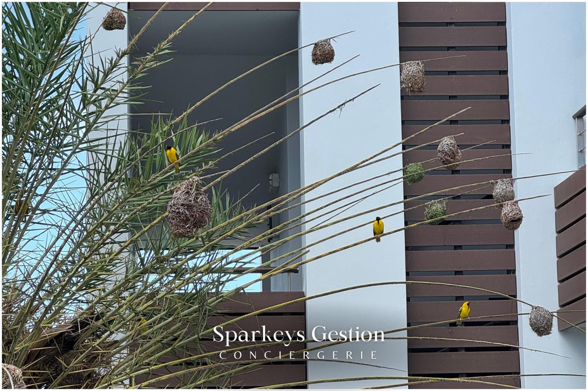 Apartment Sg13 L En L Oasis Palms Mont-Choisy