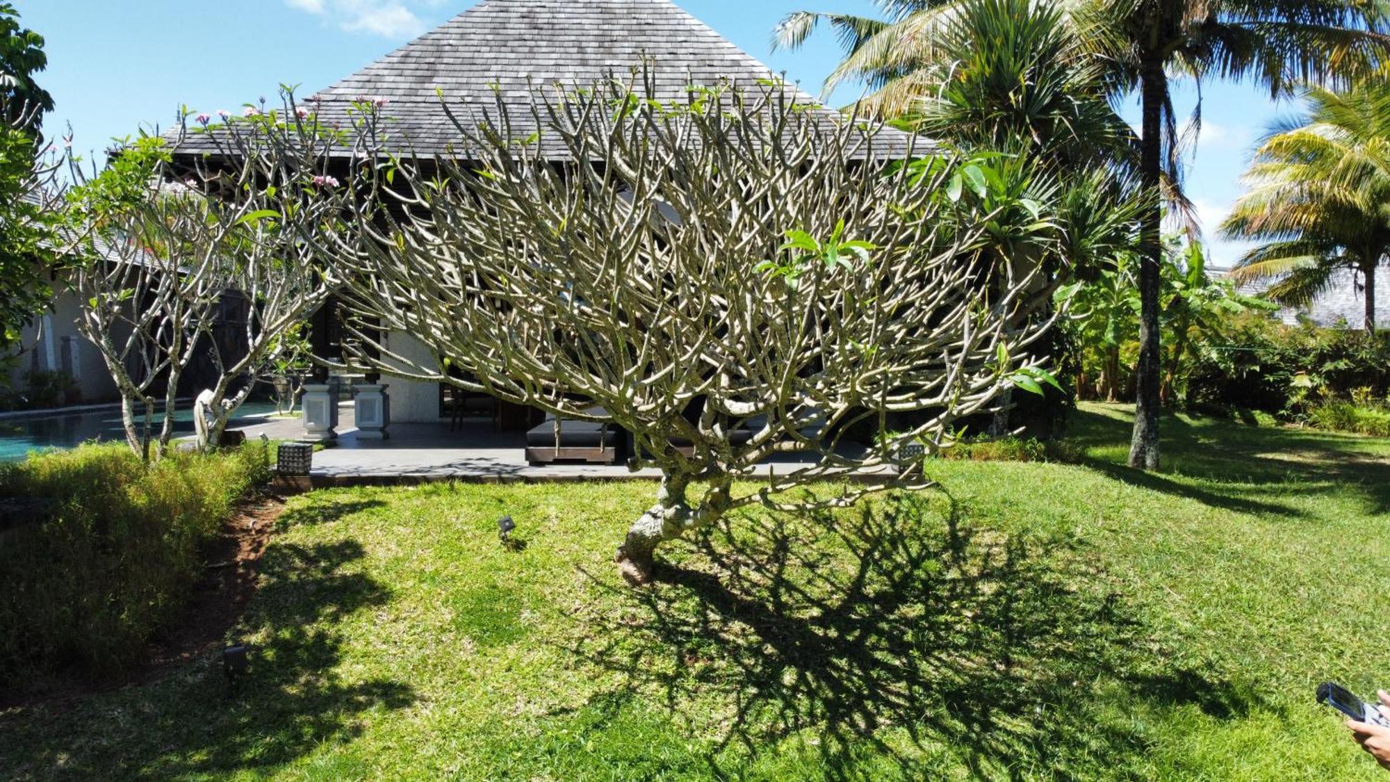 Villa Elegance Du Sud - Piscine Et Jardin *