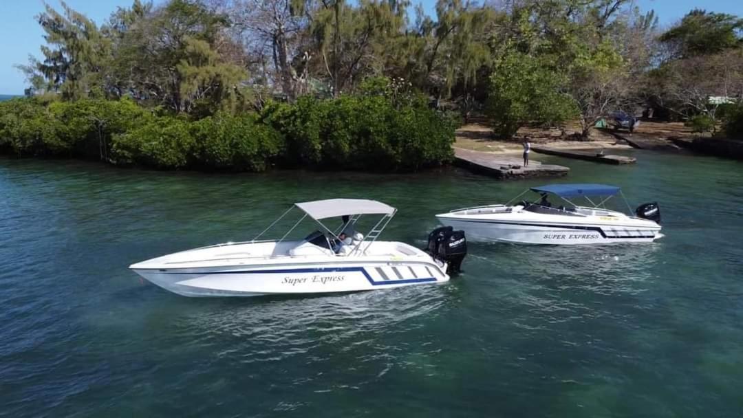 Sunny Boat Tours