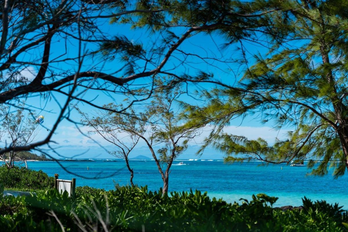 Beachfront Chic Retreat