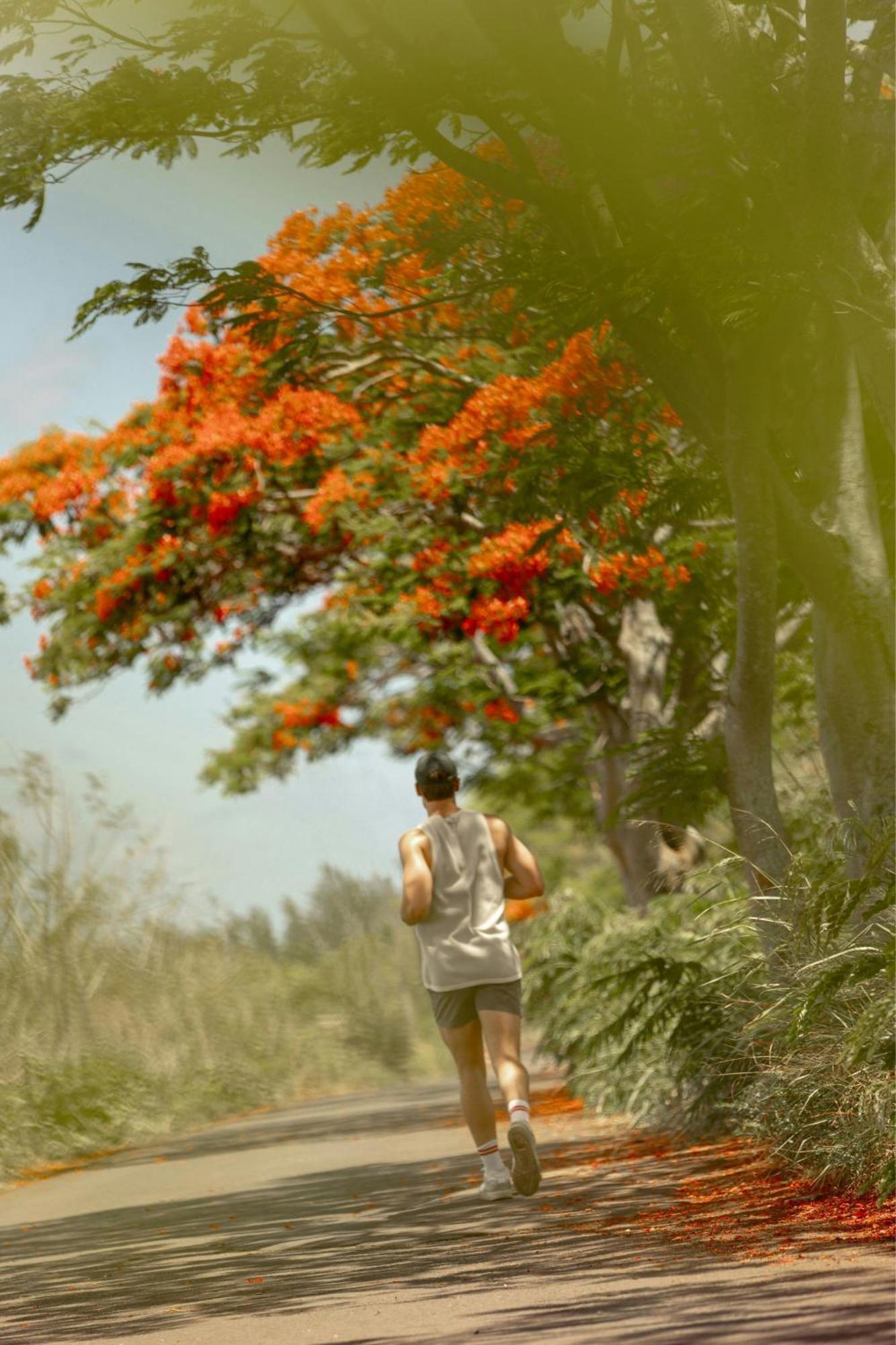 The Westin Turtle Bay & Spa, Mauritius Balaclava