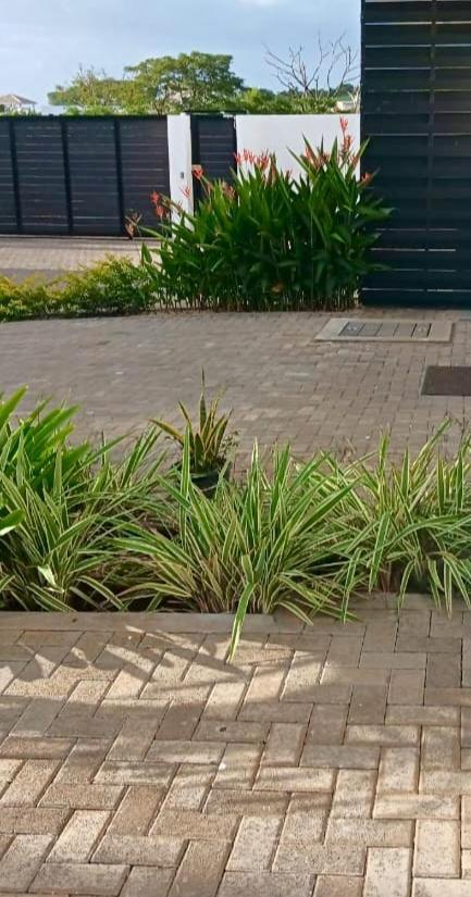 3bed With Private Pool And Rooftop With A Sea View In Flic-en-flac, Mauritius * Flic en Flac