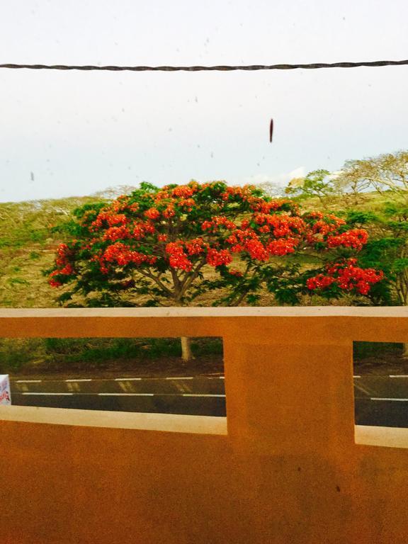 Sun & Earth Villa