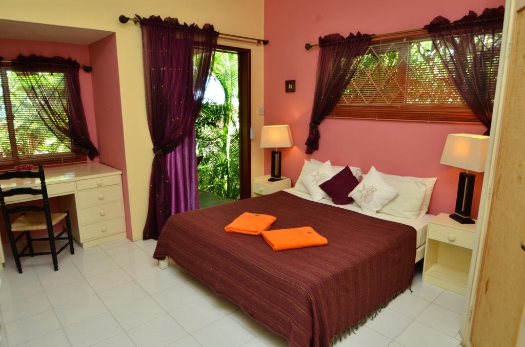 Guest house Les Lataniers Bleus - Riviere Noire