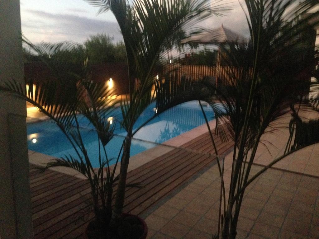 Apartment Pingo Premium *