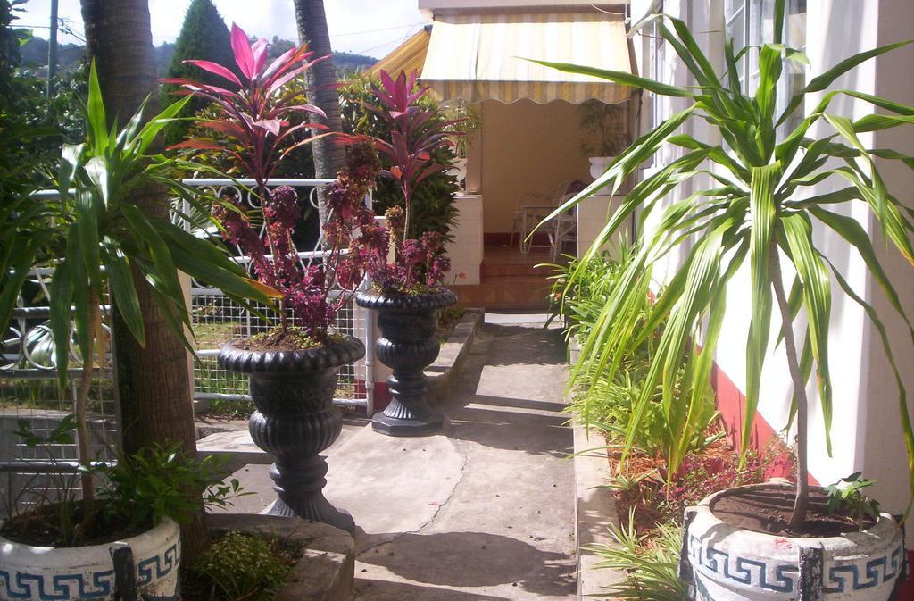 Acajou Sur Port Mathurin